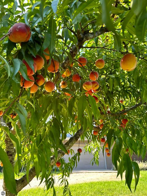 Tiny photo for 1879 N Crystal Road, Vestaburg, MI 48891 (MLS # 1942962)