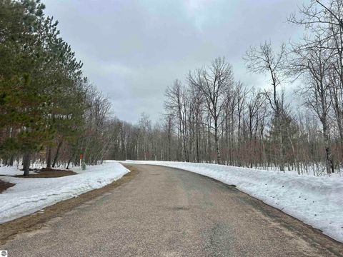 Tiny photo for 10743 Sprucedale Circle, Elmira, MI 49730 (MLS # 1943461)