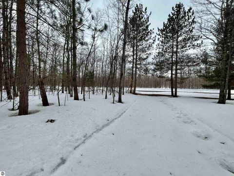 Tiny photo for 10743 Sprucedale Circle, Elmira, MI 49730 (MLS # 1943461)