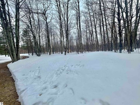 Tiny photo for 10743 Sprucedale Circle, Elmira, MI 49730 (MLS # 1943461)