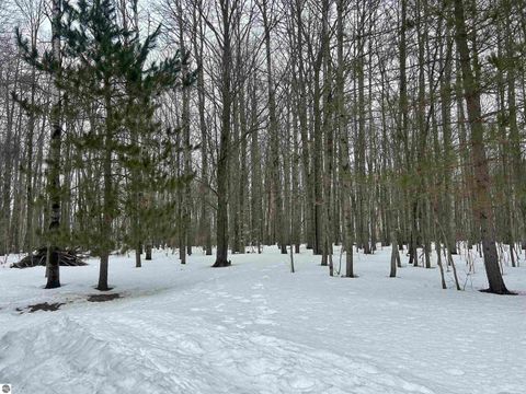 Tiny photo for 10743 Sprucedale Circle, Elmira, MI 49730 (MLS # 1943461)