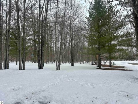 Tiny photo for 10743 Sprucedale Circle, Elmira, MI 49730 (MLS # 1943461)