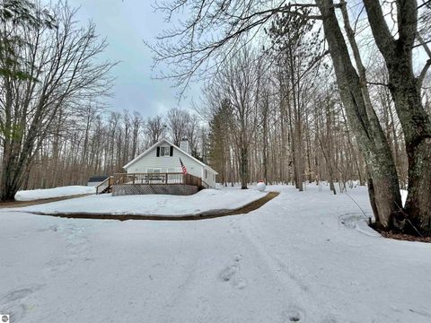 Tiny photo for 10743 Sprucedale Circle, Elmira, MI 49730 (MLS # 1943461)