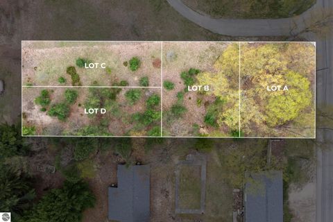 Tiny photo for TBD Lot C W Cayuga Street, Bellaire, MI 49615 (MLS # 1944981)