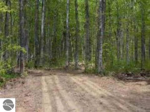 Tiny photo for 0 Cunningham Road, Kalkaska, MI 49646 (MLS # 1943803)
