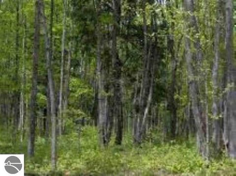 Tiny photo for 0 Cunningham Road, Kalkaska, MI 49646 (MLS # 1943803)