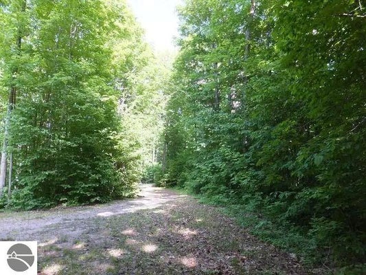 2228 NORTHWOODS DR, BENZONIA, MI 49616 - Image 16f715121bd9aa44f05ab9b9405a7c49/2779176351
