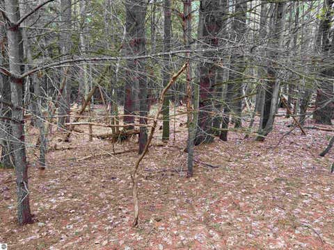Tiny photo for 17536 Honor Highway, Interlochen, MI 49643 (MLS # 1945328)