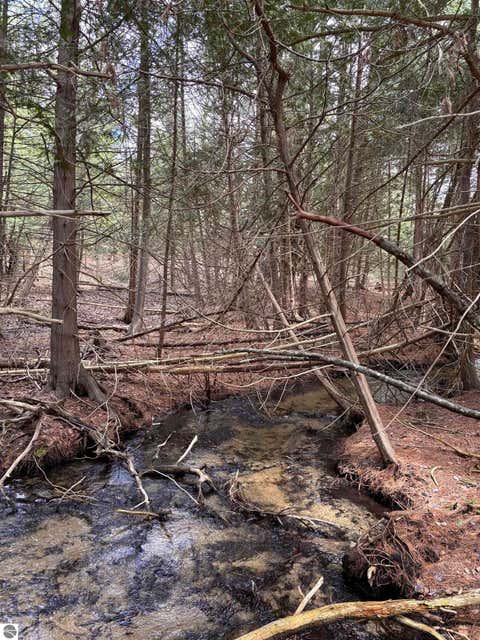 Tiny photo for 17536 Honor Highway, Interlochen, MI 49643 (MLS # 1945328)