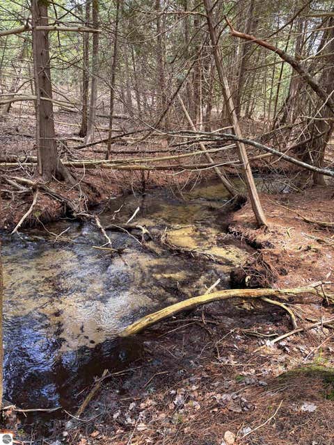 Tiny photo for 17536 Honor Highway, Interlochen, MI 49643 (MLS # 1945328)