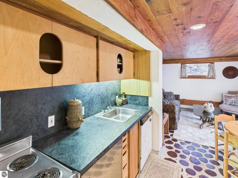 Tiny photo for 4210 S Bluff Lane, Cedar, MI 49621 (MLS # 1941647)