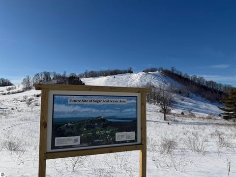 Tiny photo for 4210 S Bluff Lane, Cedar, MI 49621 (MLS # 1941647)