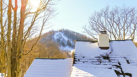 Tiny photo for 4210 S Bluff Lane, Cedar, MI 49621 (MLS # 1941647)