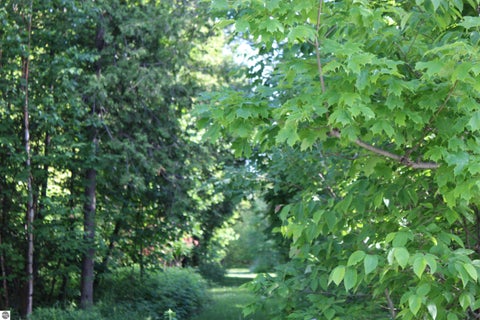 Tiny photo for 15985 Waters Edge DR, Traverse City, MI 49686 (MLS # 1944127)