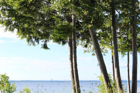 Tiny photo for 15985 Waters Edge DR, Traverse City, MI 49686 (MLS # 1944127)