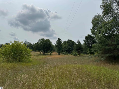 Tiny photo for 22015 Benton Road, Mesick, MI 49668 (MLS # 1949341)