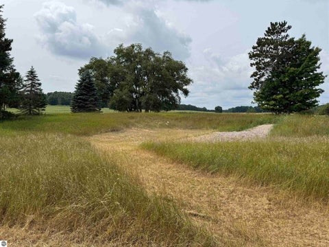 Tiny photo for 22015 Benton Road, Mesick, MI 49668 (MLS # 1949341)