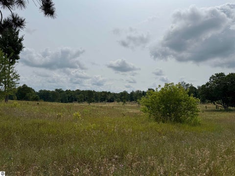Tiny photo for 22015 Benton Road, Mesick, MI 49668 (MLS # 1949341)