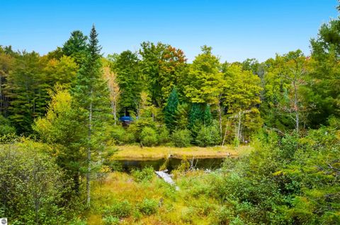 Tiny photo for 5635 Mystic Drive, Mancelona, MI 49659 (MLS # 1945421)