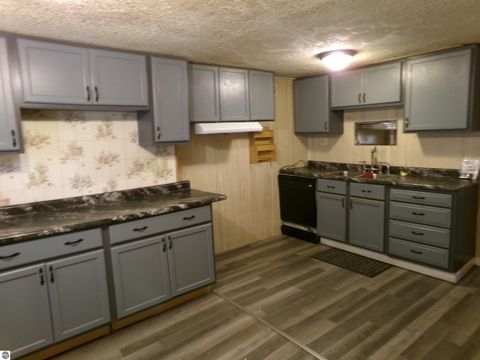 Tiny photo for 123 N Watson Street, St Louis, MI 48880 (MLS # 1941584)