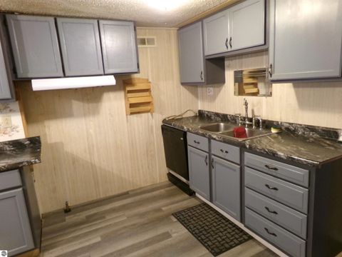 Tiny photo for 123 N Watson Street, St Louis, MI 48880 (MLS # 1941584)