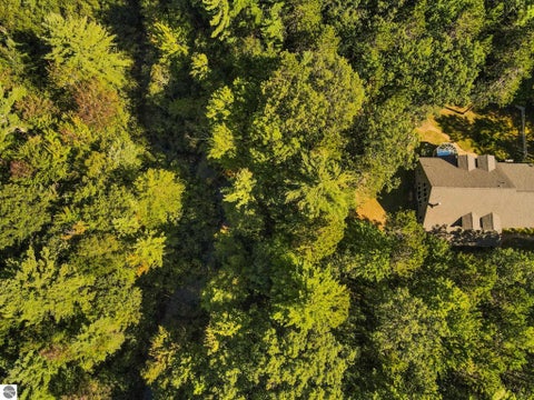Tiny photo for 4207 Twins Trail, South Boardman, MI 49680 (MLS # 1951414)