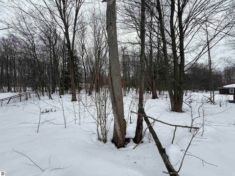 Tiny photo for 5681 M-66, Charlevoix, MI 49720 (MLS # 1943279)