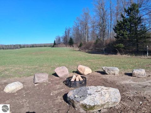 Tiny photo for 4118 N M-65, Curran, MI 48728 (MLS # 1944286)