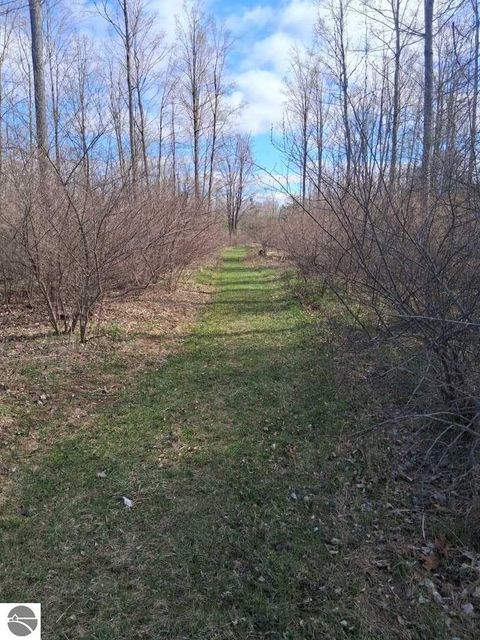 Tiny photo for 4118 N M-65, Curran, MI 48728 (MLS # 1944286)