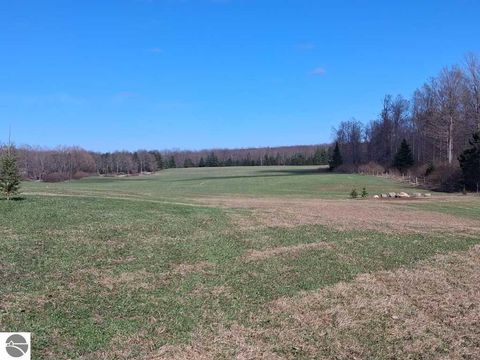 Tiny photo for 4118 N M-65, Curran, MI 48728 (MLS # 1944286)