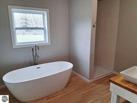 Tiny photo for 4118 N M-65, Curran, MI 48728 (MLS # 1944286)