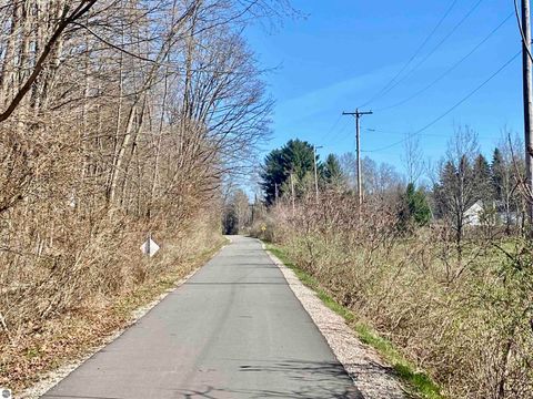 Tiny photo for 790 Case Road, Beulah, MI 49617 (MLS # 1944184)