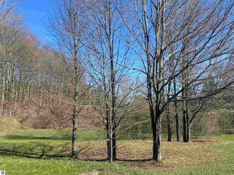 Tiny photo for 790 Case Road, Beulah, MI 49617 (MLS # 1944184)