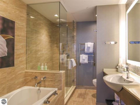 Tiny photo for 1245014 Crystal Mountain Drive #386/388, Thompsonville, MI 48683 (MLS # 1943734)