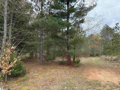 Tiny photo for 3522 Sigma Road, Kalkaska, MI 49646 (MLS # 1944748)