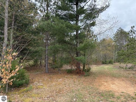 Tiny photo for 3522 Sigma Road, Kalkaska, MI 49646 (MLS # 1944748)