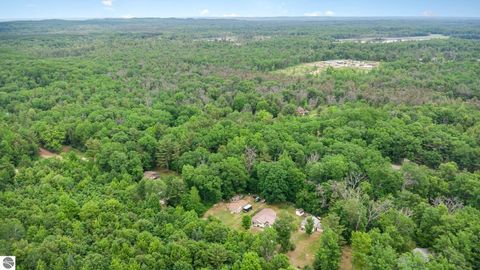 Tiny photo for 4790 Goodar Road, South Branch, MI 48761 (MLS # 1942691)