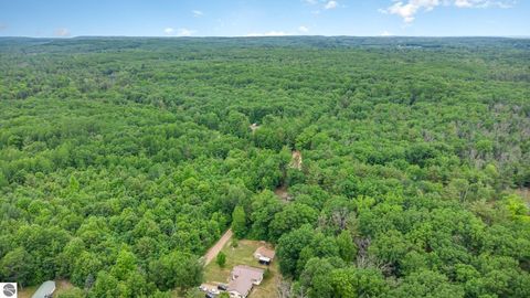 Tiny photo for 4790 Goodar Road, South Branch, MI 48761 (MLS # 1942691)