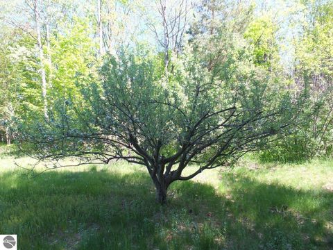 Tiny photo for 2332 Arthur Court, Traverse City, MI 49685 (MLS # 1945789)