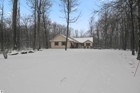 Tiny photo for 21522 Forest Trail, Big Rapids, MI 49307 (MLS # 1941744)