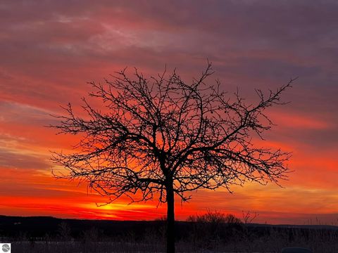 Tiny photo for 21522 Forest Trail, Big Rapids, MI 49307 (MLS # 1941744)