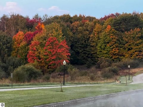 Tiny photo for 21522 Forest Trail, Big Rapids, MI 49307 (MLS # 1941744)