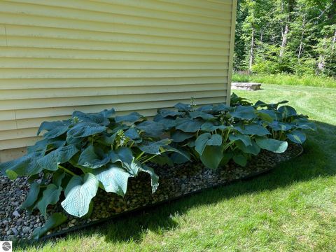 Tiny photo for 21522 Forest Trail, Big Rapids, MI 49307 (MLS # 1941744)