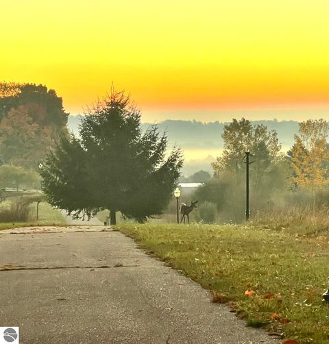 Tiny photo for 21522 Forest Trail, Big Rapids, MI 49307 (MLS # 1941744)