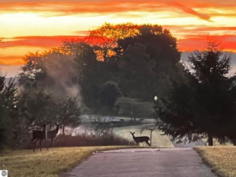 Tiny photo for 21522 Forest Trail, Big Rapids, MI 49307 (MLS # 1941744)