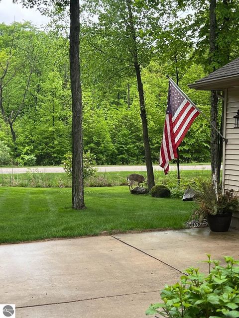 Tiny photo for 21522 Forest Trail, Big Rapids, MI 49307 (MLS # 1941744)