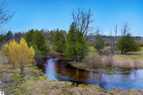 Tiny photo for 7578 S River Road SW RD, Kalkaska, MI 49646 (MLS # 1944616)