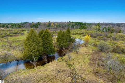 Tiny photo for 7578 S River Road SW RD, Kalkaska, MI 49646 (MLS # 1944616)