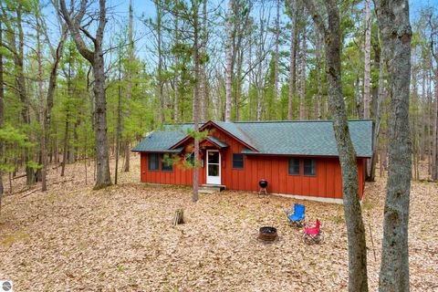 Tiny photo for 7578 S River Road SW RD, Kalkaska, MI 49646 (MLS # 1944616)