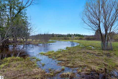 Tiny photo for 7578 S River Road SW RD, Kalkaska, MI 49646 (MLS # 1944616)